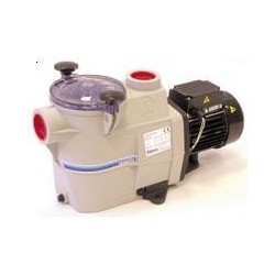 POMPE  DELPHINO  KS  75  M  3/4  CV  MONO  220 VOLTS